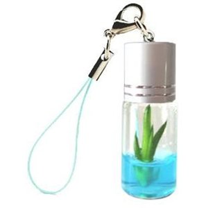Фън Шуй Щастлив Бамбук в Епруветка - Dracaena Lucky Bamboo 