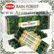 Ароматни Пръчици - Дъждовна Гора (Rain Forest) HEM Corporation