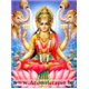 Ароматни Пръчици - Лакшми - Богинията на Богатството и Красотата (Lakshmi - Goddess of Wealth & Beauty) Raj Fragrance