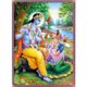 Ароматни Пръчици - Радха (Radha) Raj Fragrance