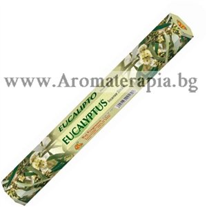 Ароматни Пръчици - Евкалипт (Eucalyptus) Raj Fragrance